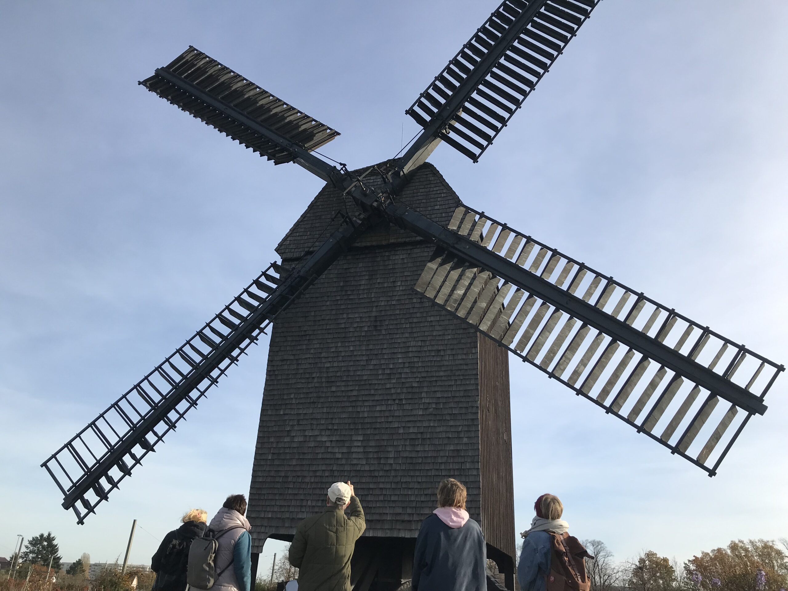 Vom Korn zum Unterricht