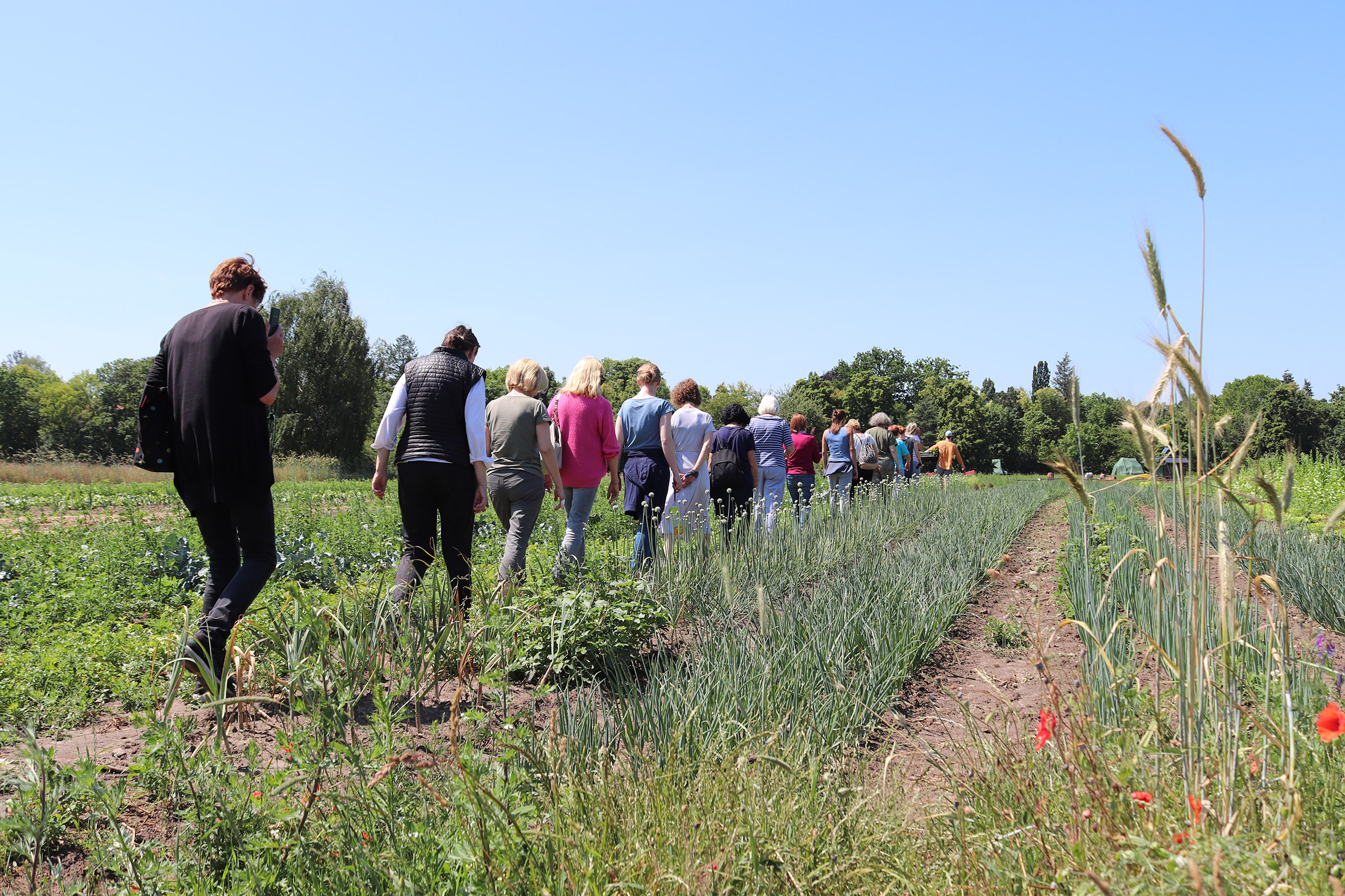 Lehrkräfte-Fortbildung am 17.7. in der Domäne Dahlem