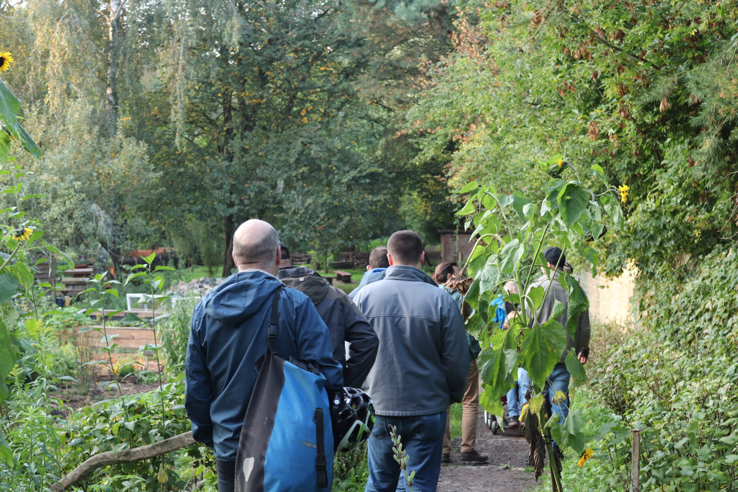 Neue Lehrkraft-Fortbildungen für November