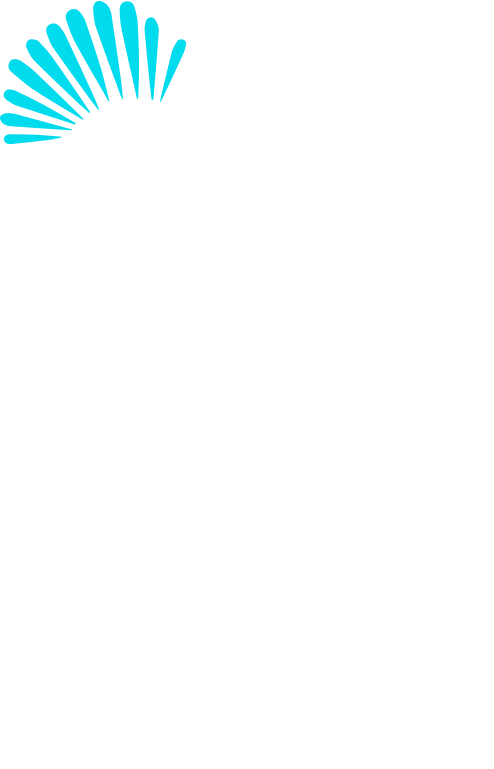 Layer 5