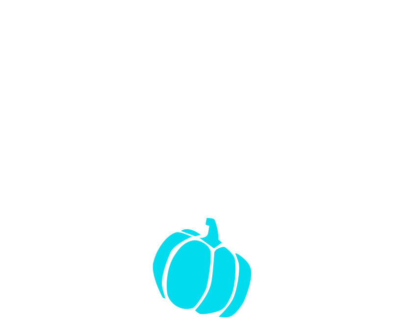 Layer 0